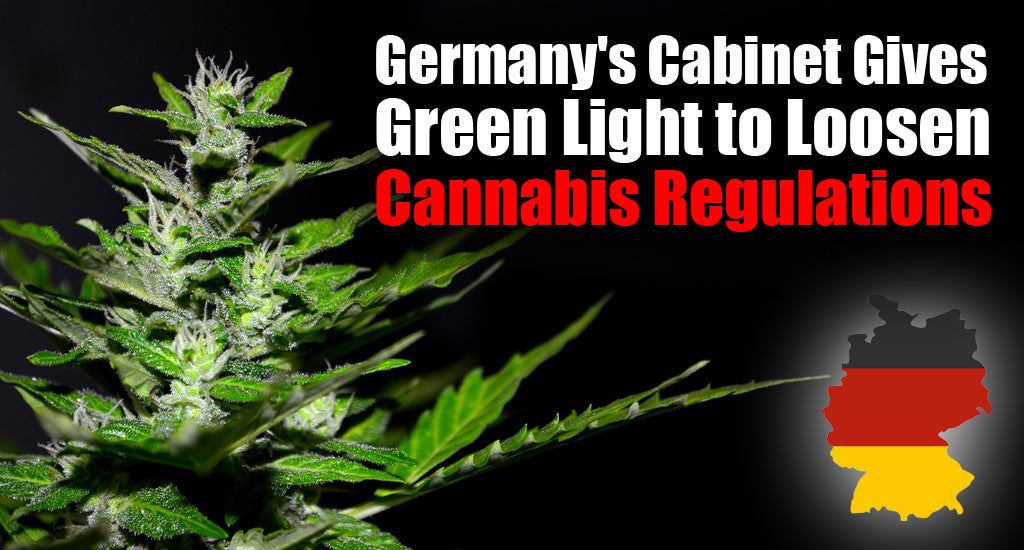 germanys-cabinet-gives-green-light-to-loosen-cannabis-regulations